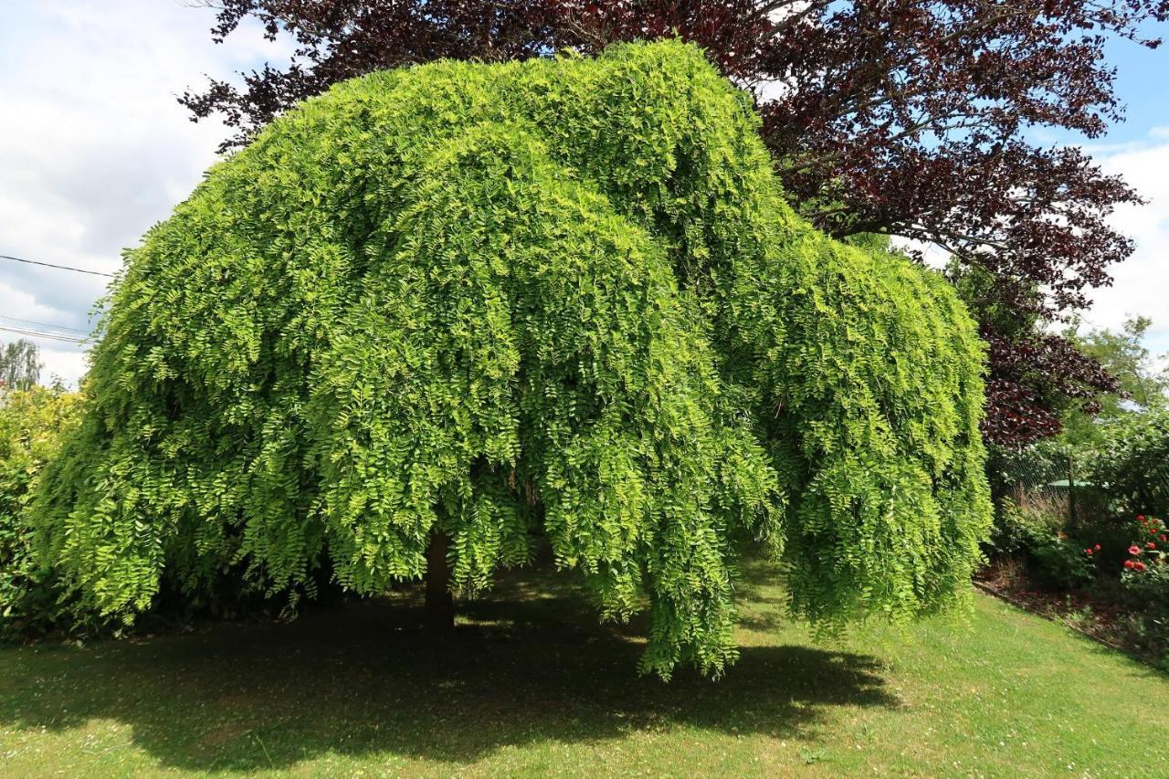 فيلا Le Sophora Cheu المظهر الخارجي الصورة